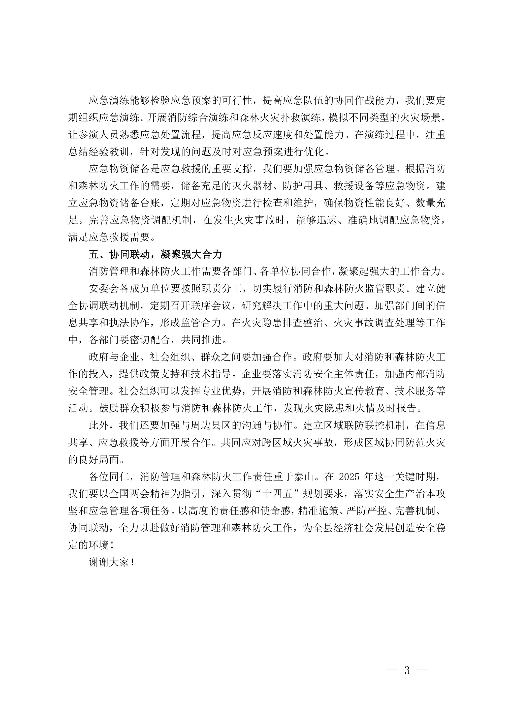 在2025年全县消防管理暨森林防火警示大会上的发言 - 第 3 页